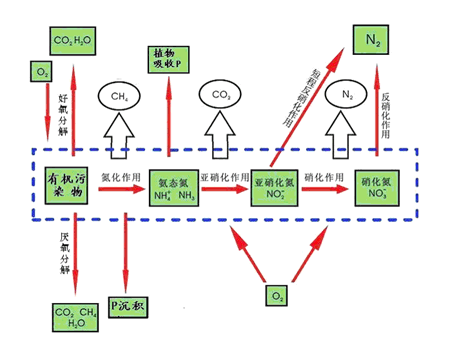 敘述微生物技術發酵工程的現代史